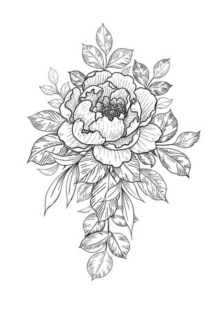 Hand drawn flower and leaves bunch isolated on white. Vector line art monochrome elegant floral composition in vintage style, t-shirt, tattoo design, coloring page, wedding decoration.のイラスト素材