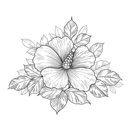 Hand drawn bunch with hibiscus flower and leaves isolated on white. Vector monochrome elegant floral composition in vintage style, t-shirt, tattoo design, coloring page, wedding decoration.のイラスト素材