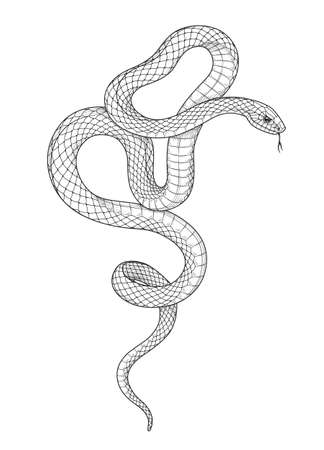 Hand drawn twisted snake isolated on blank background. Vector monochrome serpent side view. Black and white animalistic illustration in vintage style, t-shirt design, tattoo art, coloring page.のイラスト素材