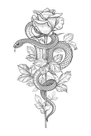 Hand drawn twisted Snake and rose bud on high stem isolated on white. Vector monochrome serpent and flower. Floral vertical illustration in vintage style, t-shirt design, tattoo art, coloring page.のイラスト素材