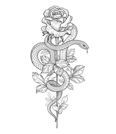 Hand drawn twisted Snake and rose bud on high stem isolated on white. Vector monochrome serpent and flower. Floral vertical illustration in vintage style, t-shirt design, tattoo art, coloring page.のイラスト素材
