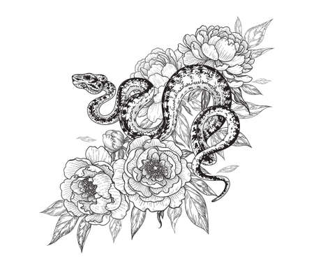 Hand drawn twisted snake among peony flowers isolated on white. Vector monochrome spotted garden tree boa and peonies. Floral illustration in vintage style, t-shirt design, tattoo art, coloring page.のイラスト素材