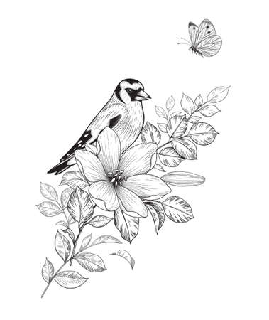 Hand drawn goldfinch sitting on branch with flower isolated on white background. Vector monochrome elegant floral composition with bird and butterfly in vintage style, t-shirt, tattoo design.のイラスト素材