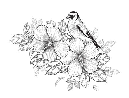 Hand drawn goldfinch sitting on Hibiscus branch with flower and leaves isolated on white background. Vector monochrome elegant floral composition with bird in vintage style, t-shirt, tattoo design.のイラスト素材
