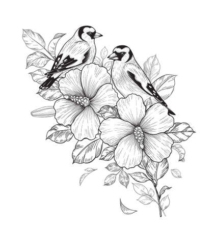 Hand drawn goldfinches sitting on Hibiscus branch with flower and leaves isolated on white background. Vector monochrome elegant floral composition with birds in vintage style, t-shirt, tattoo design.のイラスト素材