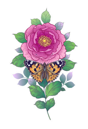 Hand drawn pink and butterfly isolated on blank background. Colorful single flower and moth. Vector elegant floral composition in vintage style, tattoo design.のイラスト素材