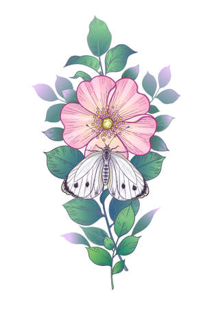 Hand drawn briar branch and butterfly isolated on white background. Single pink flower and moth. Vector elegant floral composition in vintage style, tattoo design.のイラスト素材