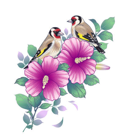 Hand drawn colorful goldfinches sitting on Hibiscus branch with pink flowers and green leaves isolated on white. Vector elegant floral composition with birds in vintage style.のイラスト素材
