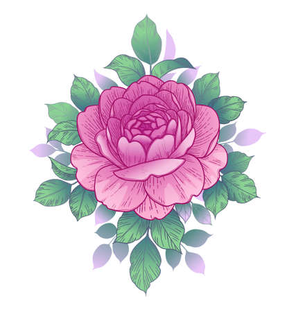 Hand drawn pink rose flower head and leaves isolated on white background. Vector line art elegant floral composition in vintage style, t-shirt, tattoo design.のイラスト素材