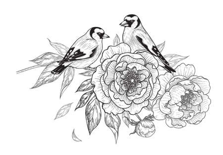 Hand drawn goldfinches sitting on peony branch with flower and leaves isolated on white background. Vector monochrome elegant floral composition with birds in vintage style, t-shirt, tattoo design.のイラスト素材