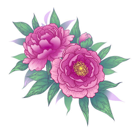Hand drawn pink peony flowers and leaves bunch isolated on white. Vector elegant floral composition in vintage style, t-shirt, tattoo design, wedding decoration.のイラスト素材