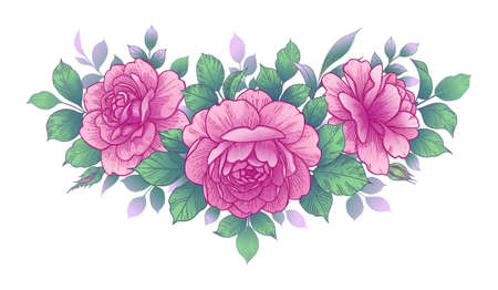 Hand drawn pink rose flowers and green leaves isolated on white. Elegant floral arrangement. Vector Illustration in vintage style, t-shirt, tattoo design, wedding decoration.のイラスト素材