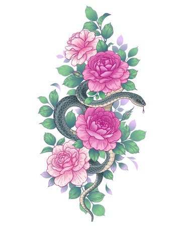 Hand drawn twisted Snake among pink roses isolated on white. Vector dark serpent with flowers and leaves. Floral vertical arrangement in vintage style, t-shirt design, tattoo art.のイラスト素材