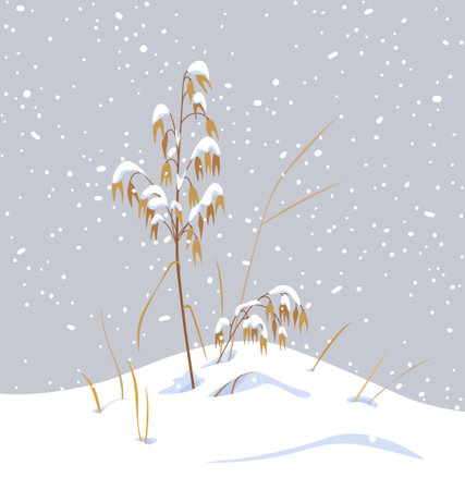 Winter snow covered meadow plants. Wild cereals under the snow on gray background. Winter scenery fragment with simple dried oat in snowfall vector flat illustration.のイラスト素材