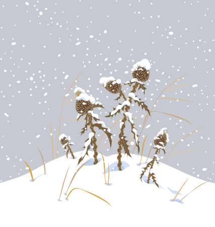 Winter snow covered meadow plants. Dry thistle with prickly stem and leaves under the snow on gray background. Winter scenery fragment with simple dried herbs in snowfall vector flat illustration.のイラスト素材