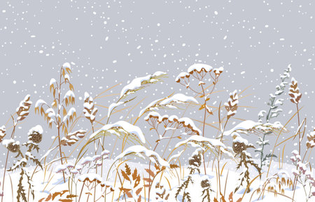 Seamless horizontal border with winter snow covered meadow plants. Wild herbs and cereals under snow on gray background. Winter scenery pattern with simple dried grass in snowfall vector illustration.のイラスト素材
