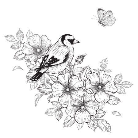Hand drawn goldfinch sitting on Dog-Rose branch with flowers and flying butterfly. Vector monochrome elegant floral arrangement with bird in vintage style, t-shirt, tattoo design, coloring page.のイラスト素材