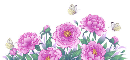 Horizontal background with blooming peonies and butterflies. Summer garden scene with pink flowers and flying moths. Vector elegant floral arrangement in vintage style, template wedding decoration.のイラスト素材