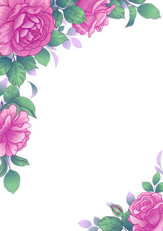 Elegant border with pink rose flowers and green leaves. Hand drawn roses on white background. Vector floral corner arrangement in vintage style. Wedding invitation, greeting card, cover design.のイラスト素材