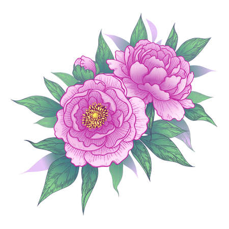 Hand drawn pink peony flowers and leaves bunch isolated on white. Vector elegant floral composition in vintage style, t-shirt, tattoo design, wedding decoration.のイラスト素材