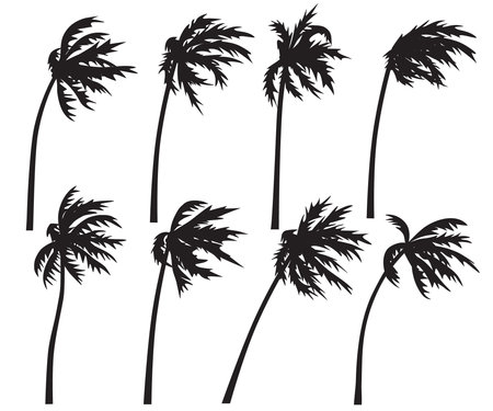 Set of palm trees in wind storm isolated on white background. Black silhouettes of trees in wind. Tropical landscape element design. Monochrome simple plants vector flat illustration.のイラスト素材