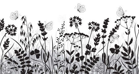 Seamless horizontal border with monochrome wild plants and butterflies. Black and gray silhouette meadow grass and wildflowers in row on white background. Floral pattern vector flat illustration.のイラスト素材