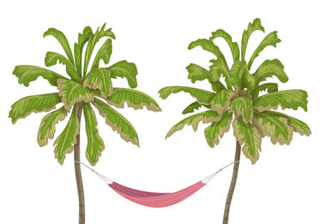 Pink hammock hanging between two old pines on white background. Health resort, rest at nature, camping recreation, enjoy summer vacation. Simple vector illustration in flat cartoon style.のイラスト素材