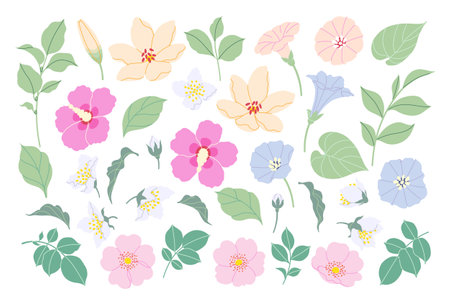 Simple different flowers and green leaves isolated on white background. Blooming flowers in pastel color collection. Set of decorative floral design elements. Vector flat botanical illustration.のイラスト素材