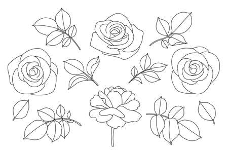 Rose flowers and leaves sketch isolated on white background. Hand drawn black and white collection of blooming flowers. Floral set. Line art botanical vector illustration.のイラスト素材