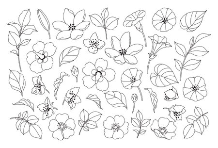 Simple different flowers, buds and leaves sketch. Hand drawn black and white blooming flowers. Set of decorative floral design elements. Line art botanical vector illustration.のイラスト素材