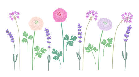 Simple different flowers on stems isolated on white background. Blooming flowers in pastel color collection. Set of decorative floral design elements. Vector flat botanical illustration.のイラスト素材