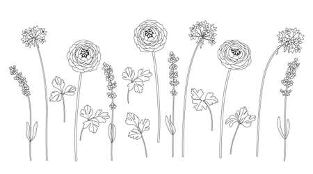 Simple different flowers and leaves sketch. Hand drawn black and white blooming decorative plants. Set of floral design elements. Line art botanical vector illustration.のイラスト素材
