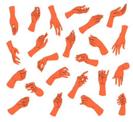 Collection of simple woman hands in various positions isolated on white background. Different female hands set. Vector flat illustration.のイラスト素材