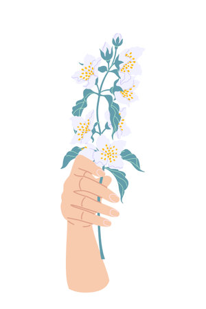 Female hand holding branch of blooming jasmine. Simple woman hand with flower isolated on white background. Romantic floral design element. Vector flat illustration.のイラスト素材