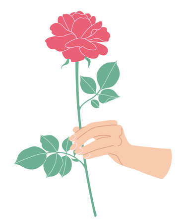 Female hand holding branch of blooming rose. Simple woman hand with red flower on high stem isolated on white background. Romantic floral design element. Vector flat illustration.のイラスト素材