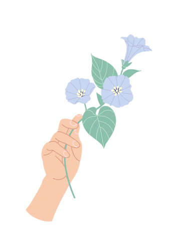 Female hand holding tender branch of Bindweed. Simple woman hand with delicate blue convolvulus isolated on white background. Romantic floral design element. Vector flat illustration.のイラスト素材