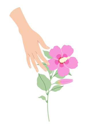 Female hand touches pink hibiscus flower. Simple woman hand with branch of blooming tropical plant isolated on white background. Romantic floral design element. Vector flat illustration.のイラスト素材