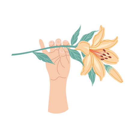 Female hand holding blooming lily branch. Simple woman hand with big orange flower head and green leaves on high stem isolated on white background. Botanical floral element vector flat illustration.のイラスト素材