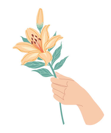 Female hand holding blooming lily branch. Simple woman hand with big orange flower head and green leaves on high stem isolated on white background. Botanical floral element vector flat illustration.のイラスト素材