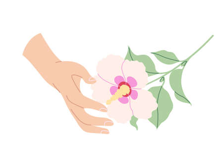 Female hand touches pink hibiscus flower. Simple woman hand with branch of blooming tropical plant isolated on white background. Romantic floral design element. Vector flat illustration.のイラスト素材