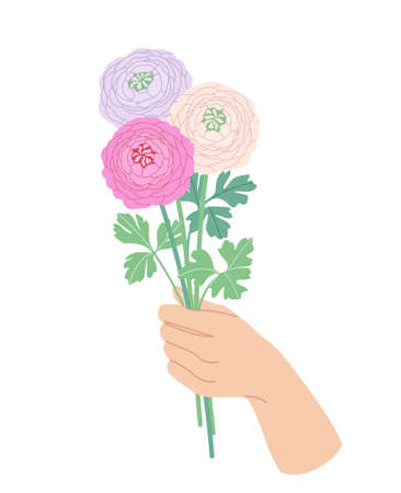 Female hand holding blooming ranunculus bunch. Simple woman hand with pink flowers and green leaves on high stem isolated on white background. Botanical floral element vector flat illustration.のイラスト素材