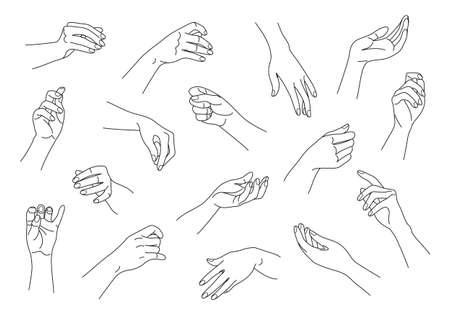 Collection of monochrome woman hands in various positions. Outline female hands set. Black and white vector illustration.のイラスト素材