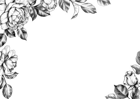 Black and white elegant border with hand drawn rose flower, buds and leaves. Pencil drawing monochrome floral composition in vintage style. Wedding invitation, greeting card, cover design.の写真素材