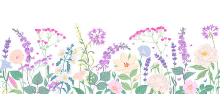 Seamless horizontal border with blooming flowers on white background. Multicolored garden flowers in row. Banner with pastel color floral pattern. Summer botanical vector flat illustration.のイラスト素材