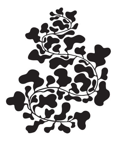 decorative botanical element. Organic abstract shapes in black color isolated on white background. Floral wavy design. trendy vector illustration.のイラスト素材