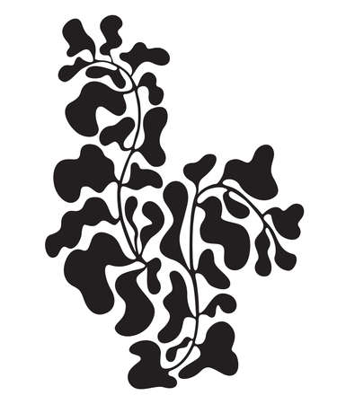 decorative botanical element. Organic abstract shapes in black color isolated on white background. Floral wavy design. trendy vector illustration.のイラスト素材