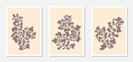 Decorative wavy organic shapes on light background. Set of abstract floral compositions for wall decor, poster design. Trendy vector illustration with botanical elements.のイラスト素材