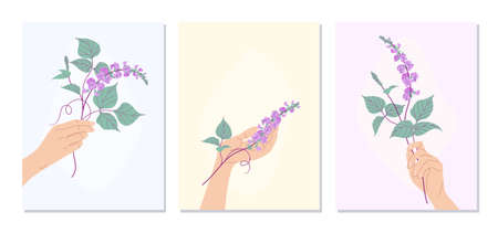 Female hands holding lilac Dolichos flowers. poster set. vector minimalist illustration. Decorative wall art in pastel colors. Floral design cards collection.のイラスト素材