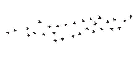 Black silhouette of flying birds group isolated on white background. vector design element. Bird flock simple illustration.のイラスト素材