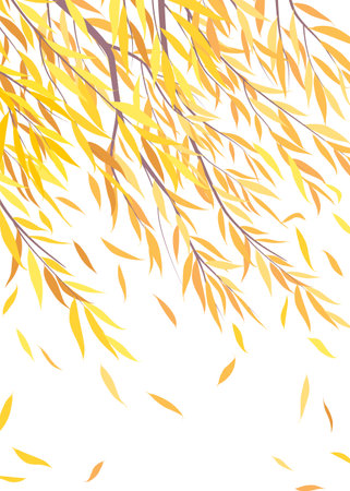 Autumn background with weeping willow tree branches. Fall view with wind falling yellow leaves. Simple vector flat illustration.のイラスト素材